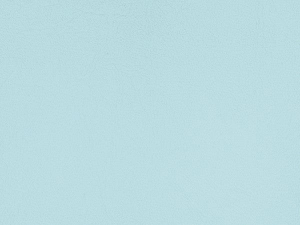 Ice Blue