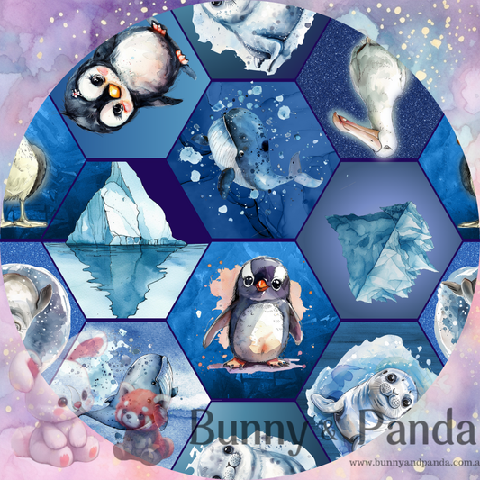 R13 Antarctic Adventures